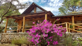 Cabaña en el bosque de Tapalpa